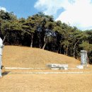 대덕대로(유성-5) 이미지