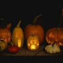 펌킨 - 창원시 마산합포구 월영동로 8 | 펌킨