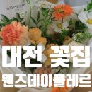 웬즈데이플레르