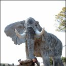 트릭아트뮤지엄 이미지