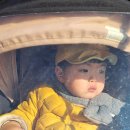 솔오름 펜션 이미지