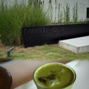 화순읍사무소 | 화순 미네랄하우스 솔직후기 | 건축 보러 가는 카페