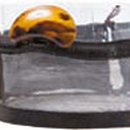 모자나라 이미지