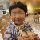 속초 엑스포 카페 뷰 카페 메리고라운드