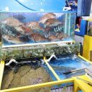 가락시장역6번출입구 이미지