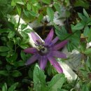 느티나무하우스 이미지