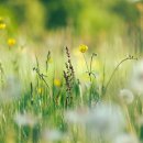 안산유도체육관-월피점 이미지