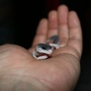 브리딩 팜 이미지