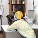 AK동물병원 이미지