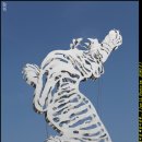 호미곶광장 이미지