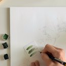 테르베르트(Terre Verte)