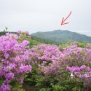 아영면 오산마을 이미지