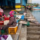 북항물양장위판장 이미지