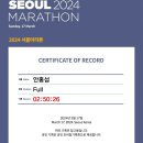 서울 동아마라톤 대회 이미지