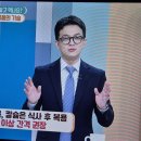 들물 Daum카페