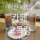 감성커피 아산배방점 | 배방 감성 카페 고목림에서 만난 귀여운 고양이 푸딩 찐후기