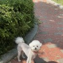 순독살롱 이미지