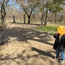 불국사관광안내소 | 벚꽃시즌 끝난 불국사 방문 후기(대웅전 해체 수리 전)