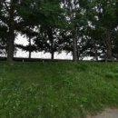 은행나무길 대여소 이미지