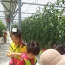 월포농장 이미지