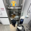 웰니스동물병원(수완점) 이미지