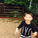 LG유치원 이미지