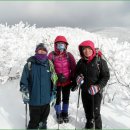 안성리-2 이미지