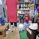 장홍식당 네이버블로그