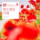 군산일광교회 | [전북 군산] 붉은 양귀비꽃 가득, 도심을 벗어나 꽃밭 속으로, 엔오엔팜(NON FARM) 카페 양귀비 축제
