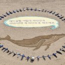 고래의꿈 이미지