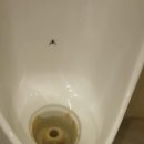 3POP PC방(양재동) 이미지