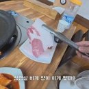 울릉도