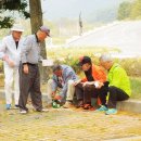 사랑과평화