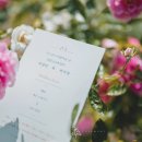 페브러리래빗 이미지