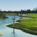 벨리스크린 이미지