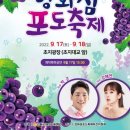 주식회사 포도 이미지