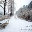 타이어 포 유 | 스노우캠핑을 즐기다 12.12.28~29 포천 유식물원 캠핑장