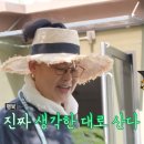 셀럽하우스 이미지