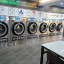 크린세탁광장 이미지