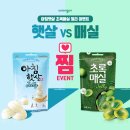 햇살기획