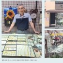 정금사 대한뉴스