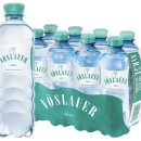 자백농장 | 동유럽/체오헝 10박 12일 모녀여행 : 프라하에서 잘츠부르크로 이동! 샌딩투어로 체스키, 고사우 호수...