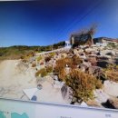 금와공인중개사사무소 이미지