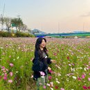 이니스프리전주점 - 전주시 완산구 전주객사5길 24 | 전주 신시가지 홍산초 근처 눈썹정리 컨설팅 30분컷, 오늘도 예쁘다 눈썹&속눈썹 효자동본점