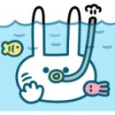 공방율리아