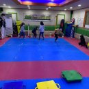 용인대 도곡 태권도장 이미지