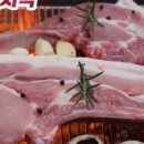바른제주 이미지