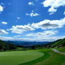 딥페이스디자인