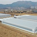 이병찬농장 이미지