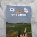 아빠, 아들 산티아고 순례길 / 양지환 / 하움출판사